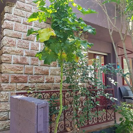 Chambres Privees Maison Jardin Toutes Commodites Partagees 발라 플라주 외부 사진